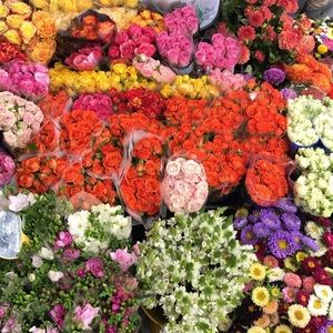 💐🌸🌼🌺🌷💐